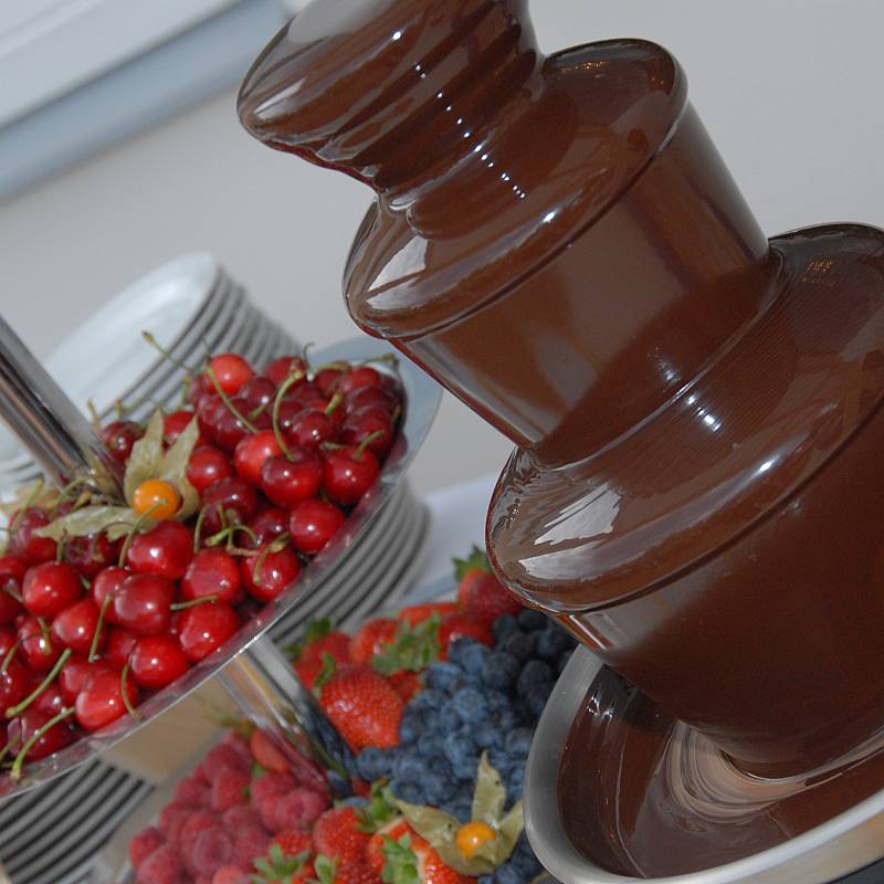  تقديم الطعام: تقديم الطعام