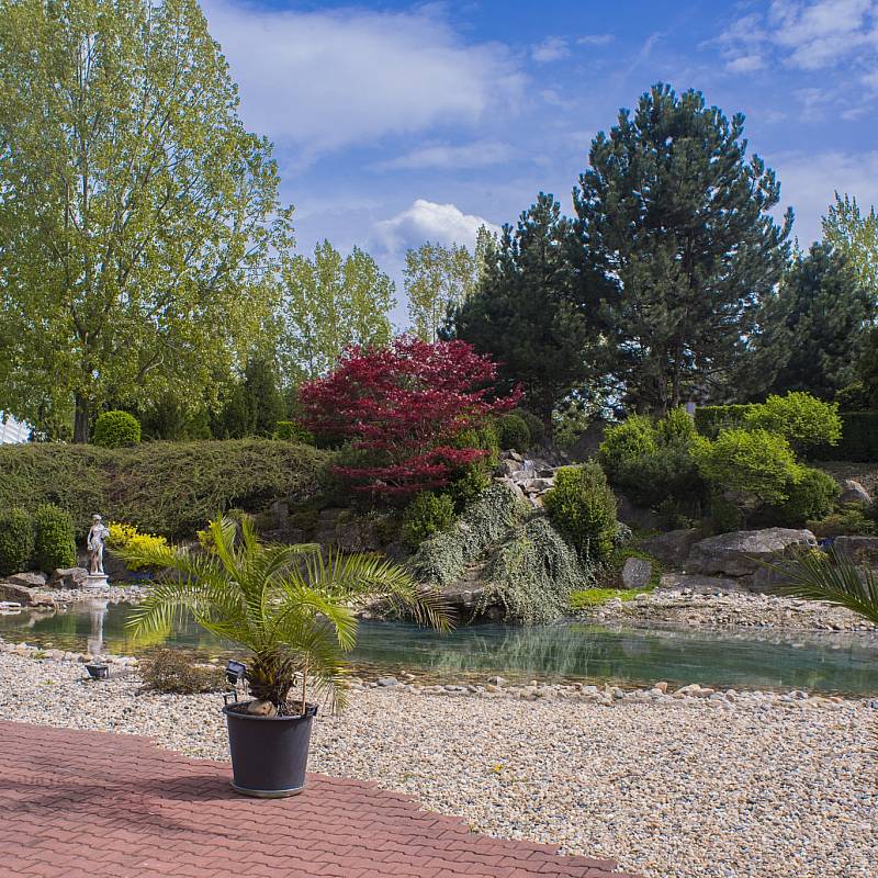 معلومات عن الفندق