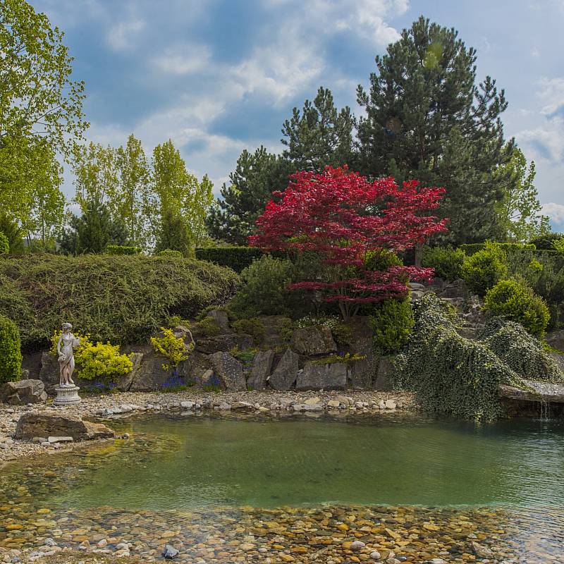 Japanese Garden: Japanese Garden