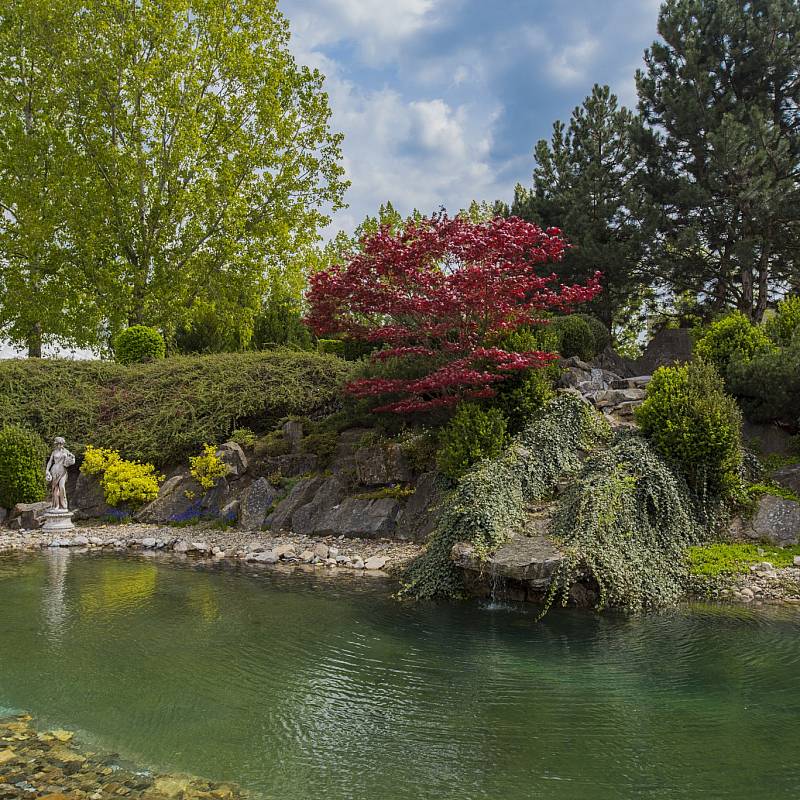 معلومات عن الفندق