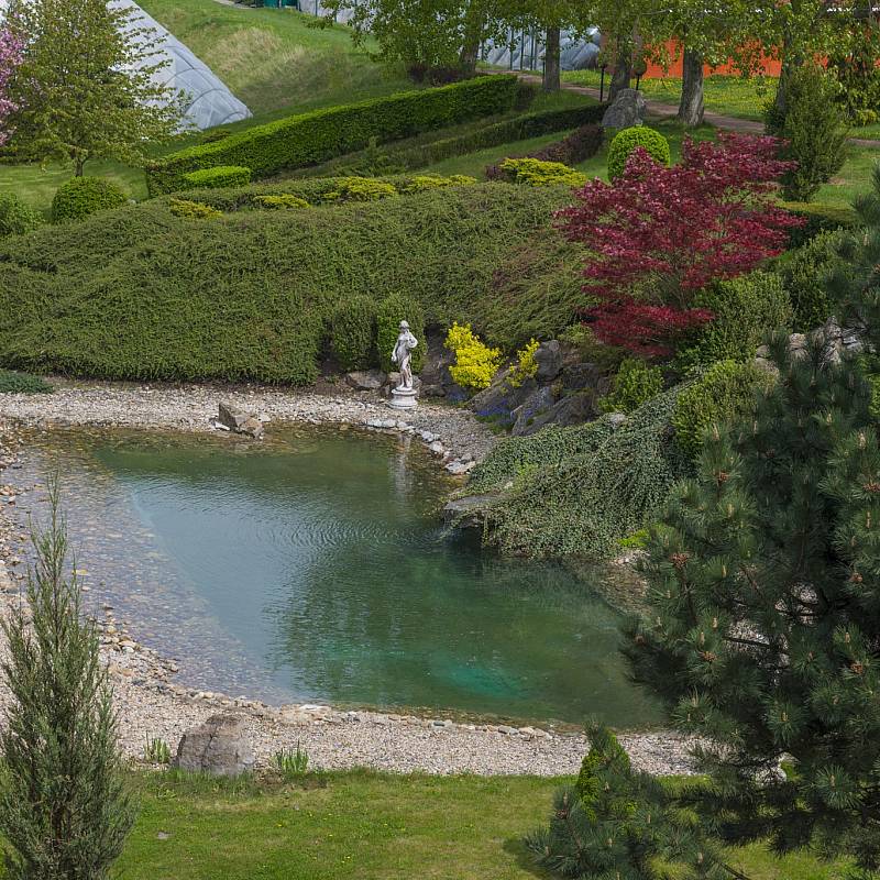 Japanese Garden: Japanese Garden
