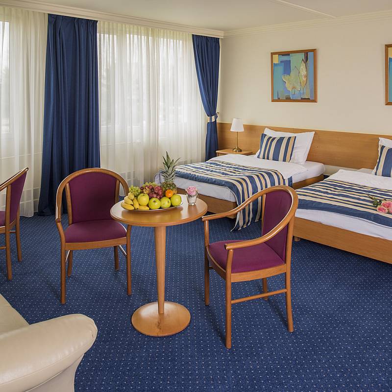 معلومات عن الفندق