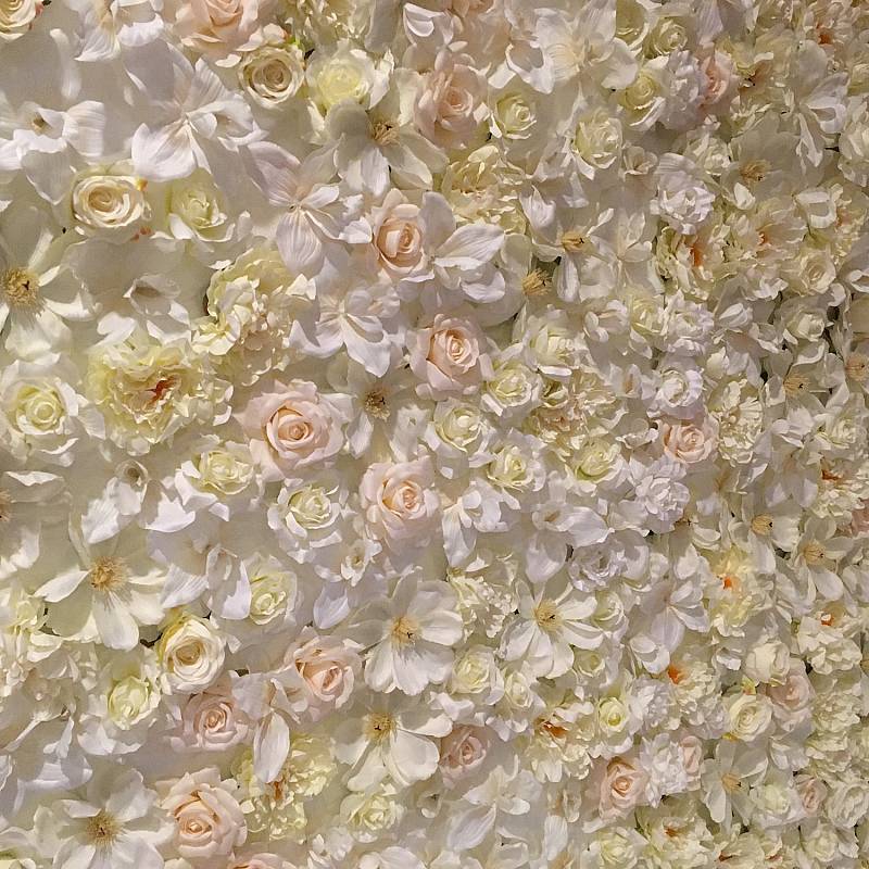 حفلات الزفاف
: حفلات الزفاف
