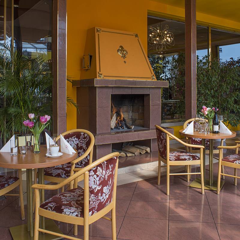 الصالونات:  الحديقة الشتوية