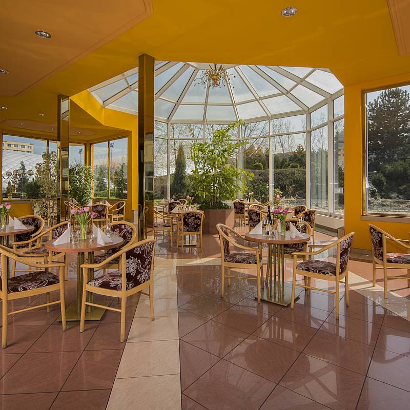 الصالونات:  الحديقة الشتوية