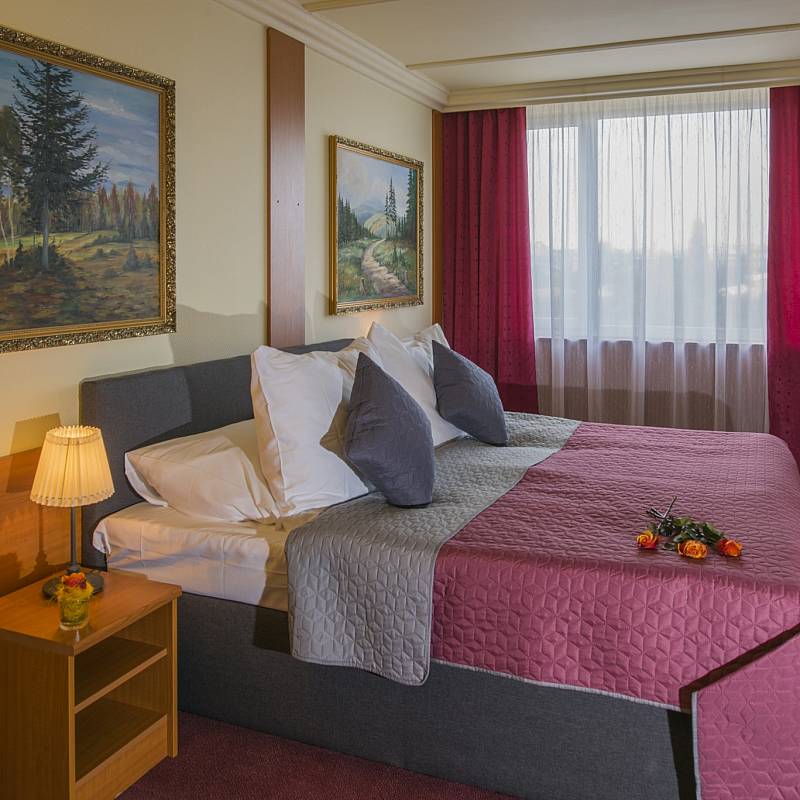 الإقامة: جناح رجال الأعمال