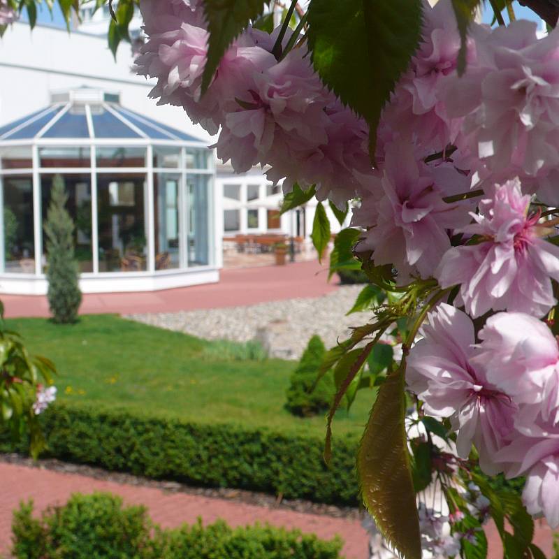 Japanese Garden: Japanese Garden