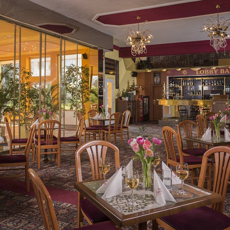 المطعم: بار البهو مع الحديقة الشتوية
