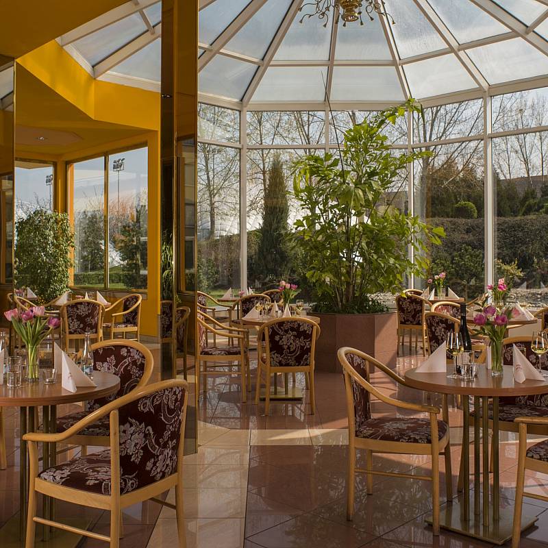 المطعم: بار البهو مع الحديقة الشتوية
