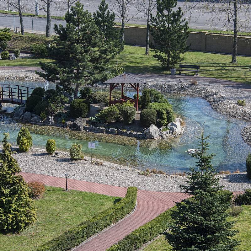 Japanese Garden: Japanese Garden