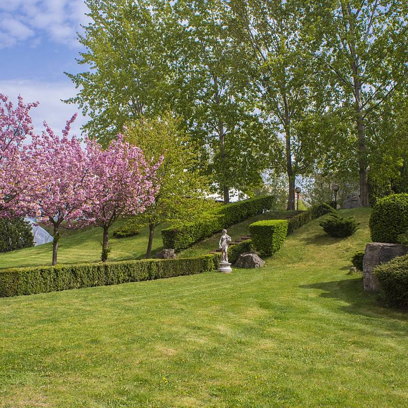 Japanese Garden: Japanese Garden