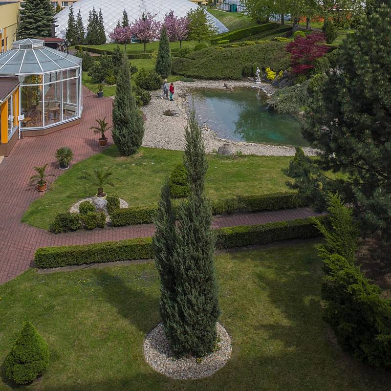 معلومات عن الفندق